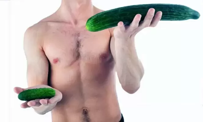 small and large penis size using cucumber as an example